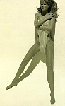 cs012.jpg